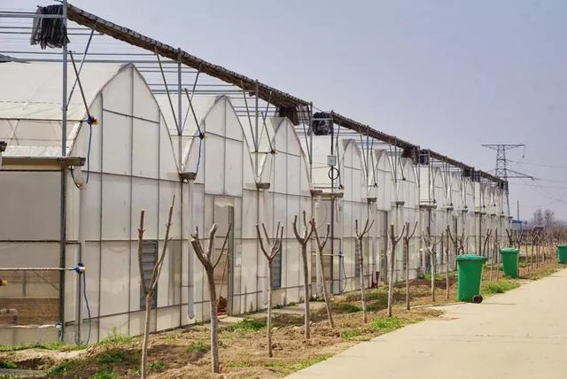 top 2——空港临空生态农业示范园魔镜曰:空港新城特色ip打卡意不意外