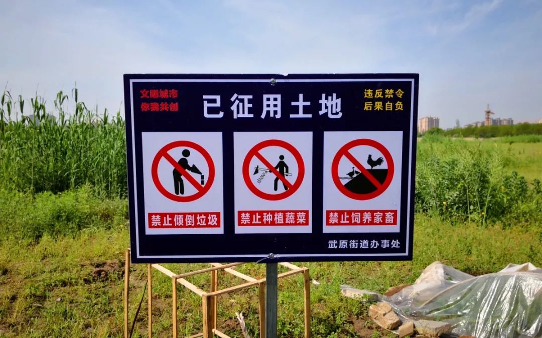 7000亩29个地块已征用土地禁止种菜