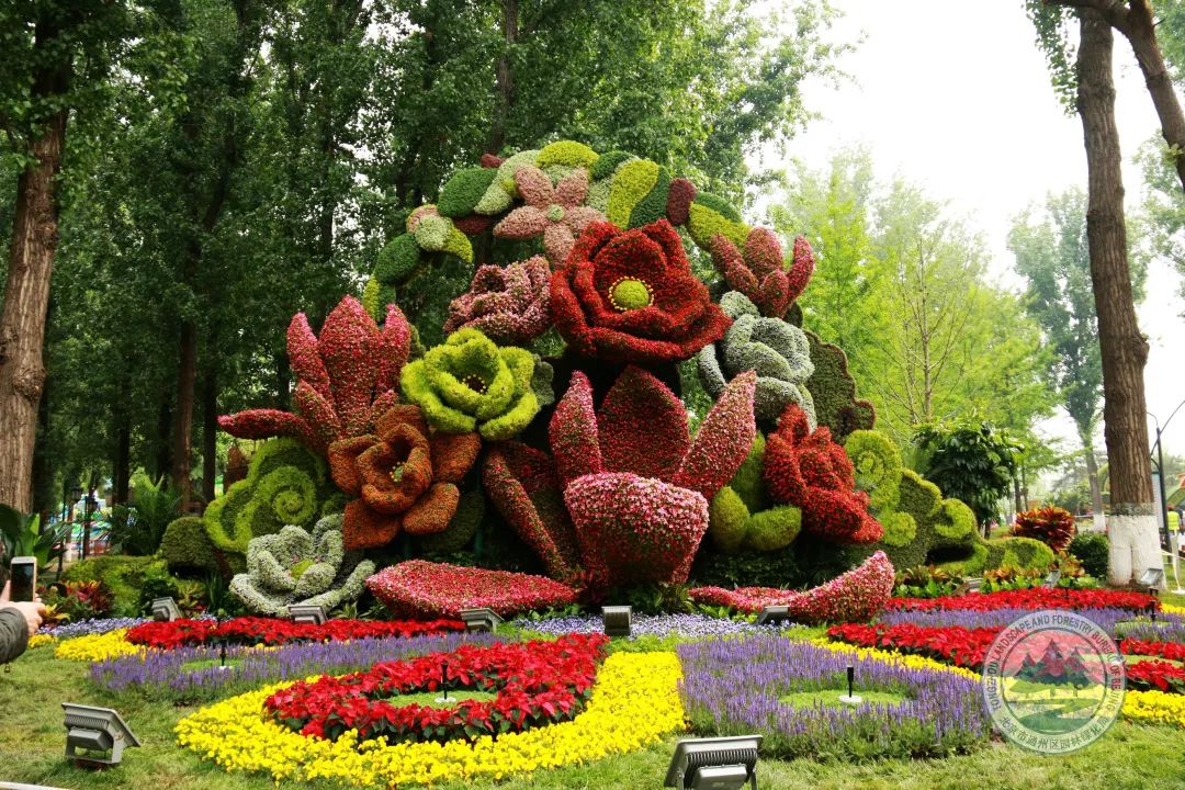 270平米花坛选用色彩缤纷艳丽的花艺造型为主景,采用寓意吉祥的花卉