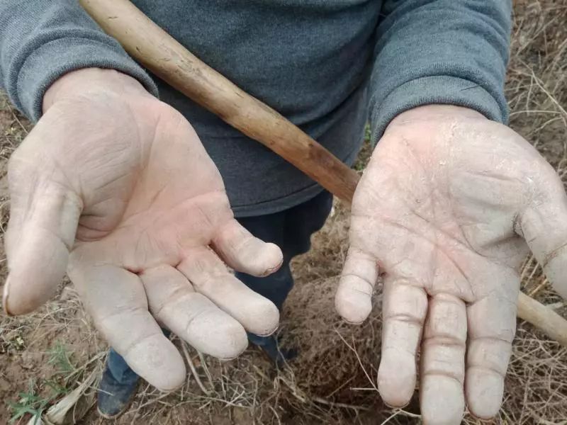 这12双手,真美!_劳动者