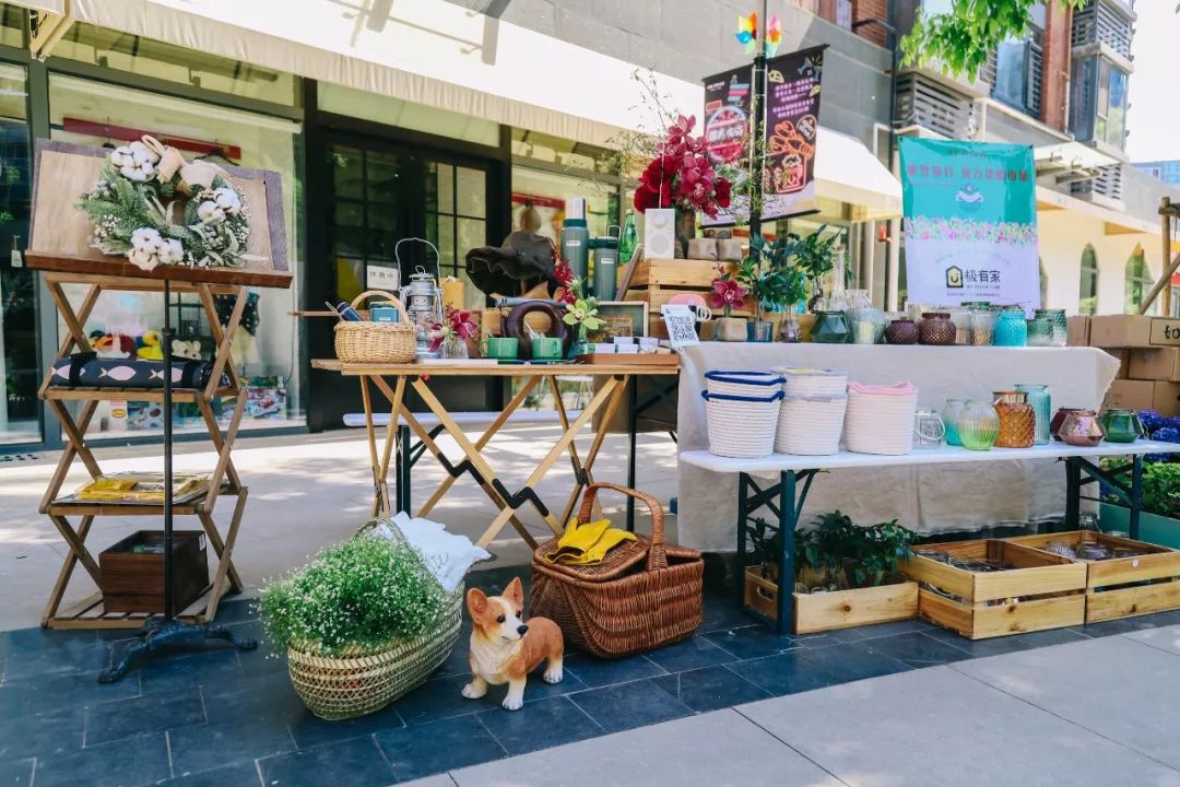 带你逛北京最美市集—花植市集_植物