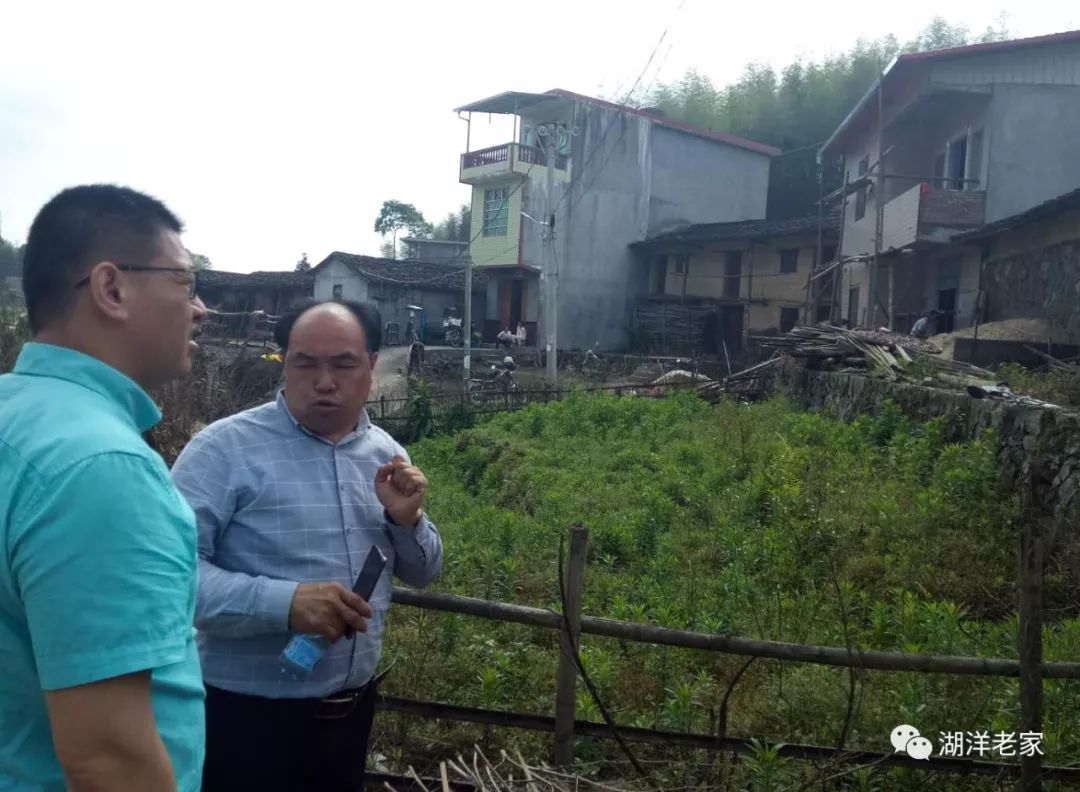 湖洋镇主要领导到白云村检查指导宜居环境建设