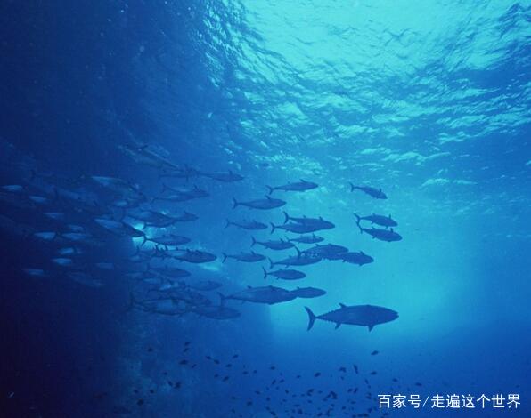 世界上*幸福的国家,天空下起"鱼雨",居民捡鱼捡到手软!