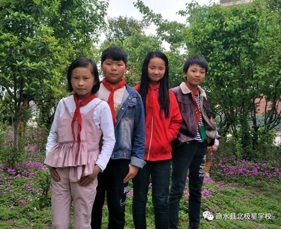 北极星期中考试获奖学生照片来啦