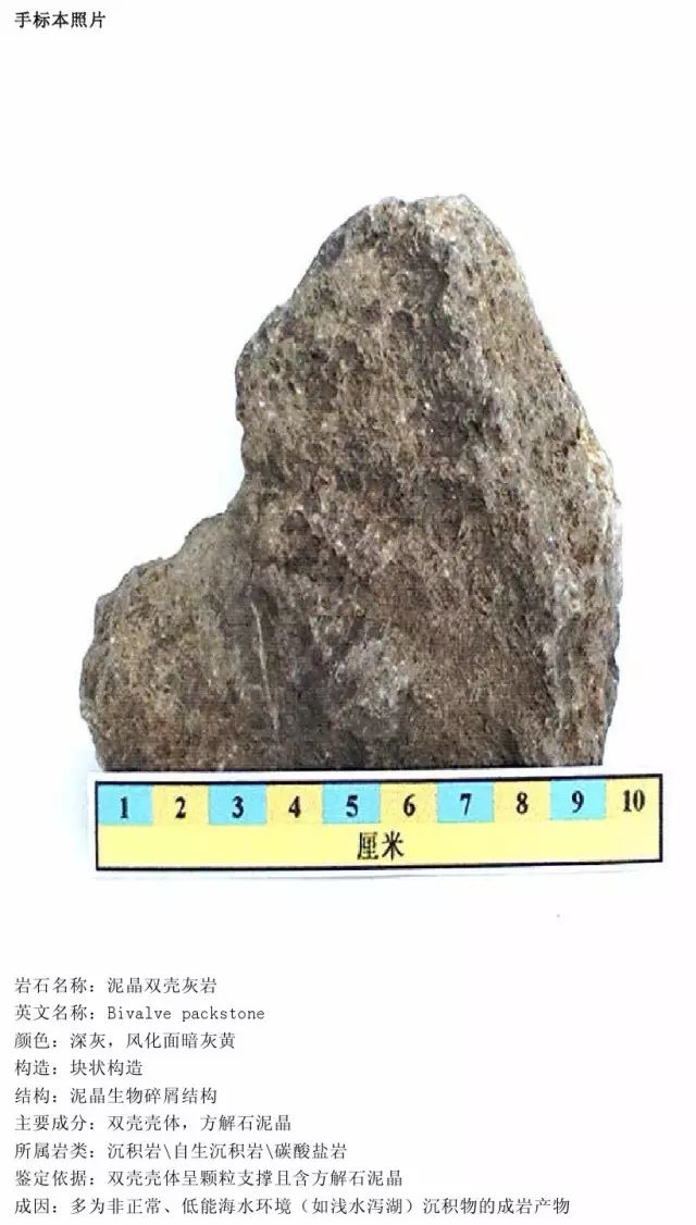 石灰岩的颗粒结构图片