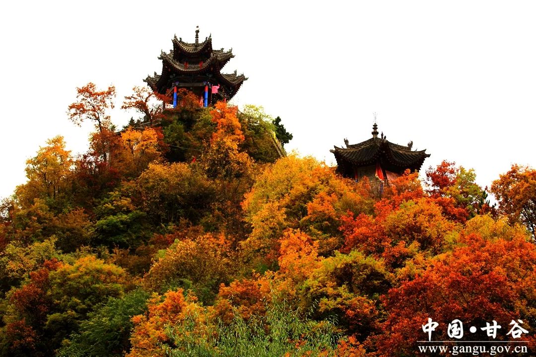 (黑潭寺(古坡草原(甘谷辣椒(甘谷苹果(甘谷花椒(尖山寺风光)