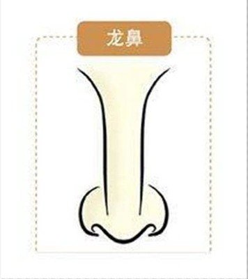 二十,鲫鱼鼻,其形为年寿崇高尊贵如鲫鱼之违,山根细小,准头下垂,蓝台