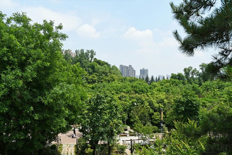 五一假期豪華升級四天!西安的清涼山國家森林公園必須安排上