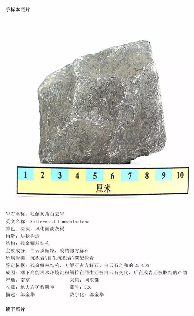 灰白色板岩描述图片