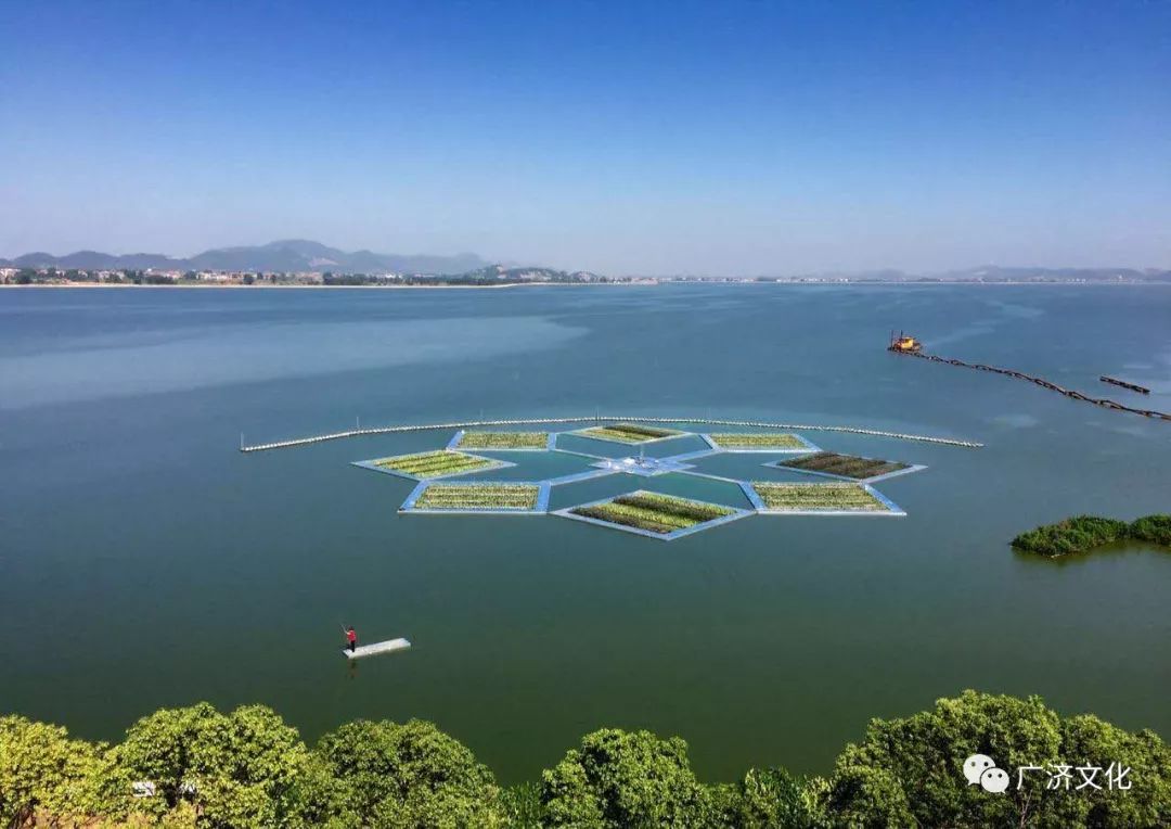 【大美武穴】朱佩兵:我有一所房子,面朝武山湖水