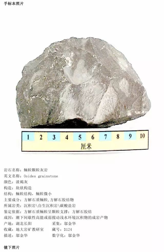 泥质灰岩图例图片