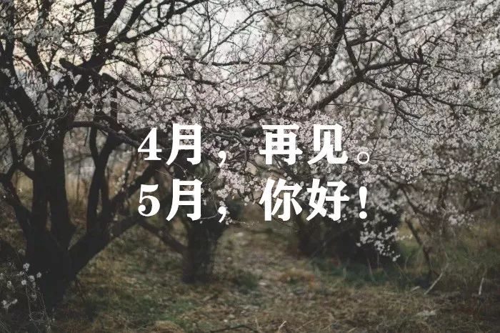 四月再见五月你好