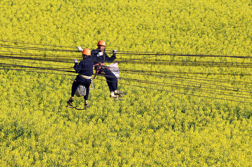 最美劳动瞬间我们身边的最美劳动者看看你都认识谁