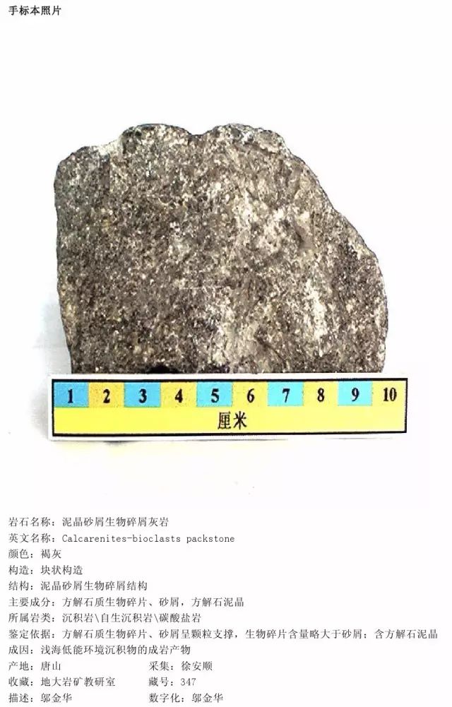 灰岩分类图片