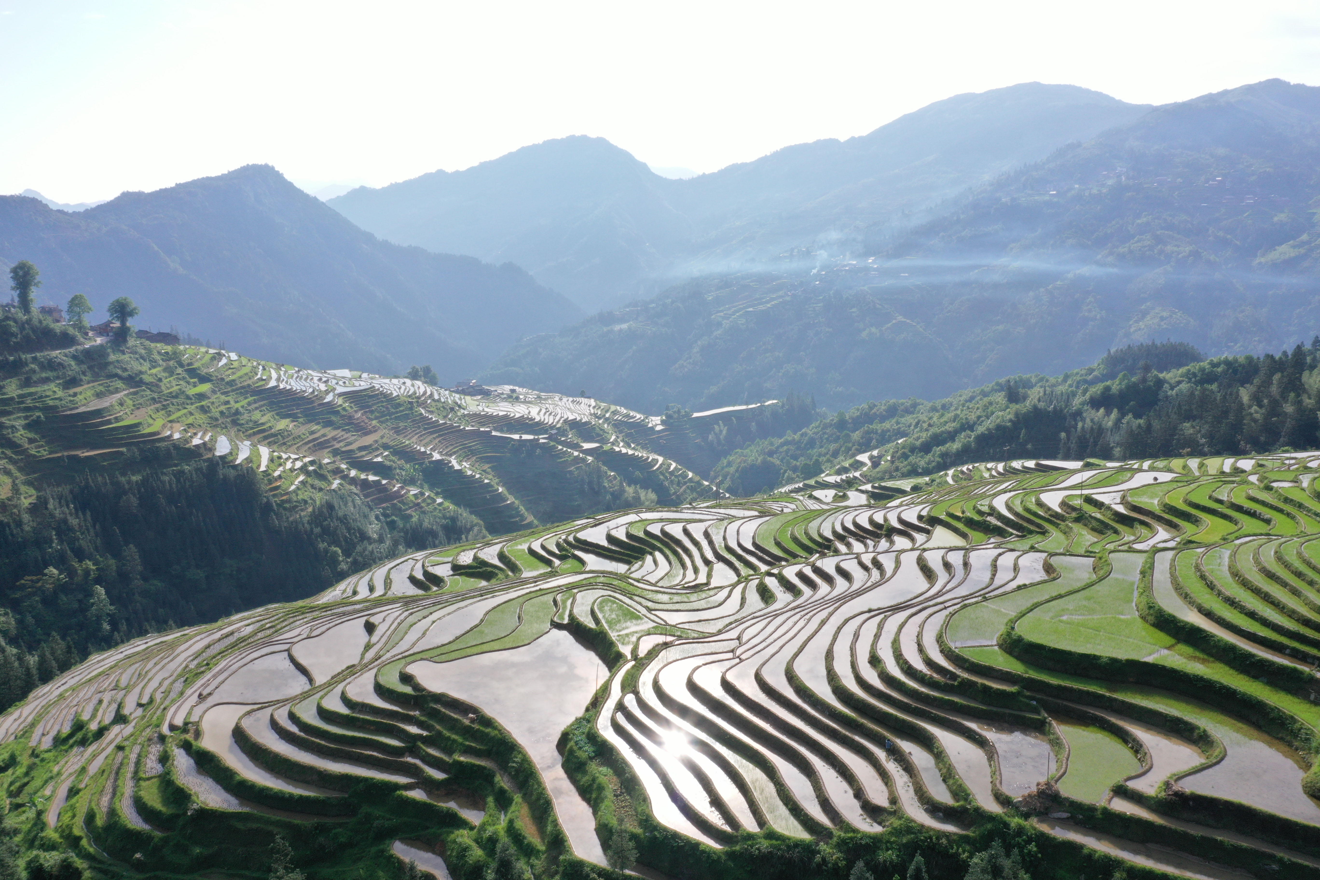 貴州從江:加榜梯田美景如畫