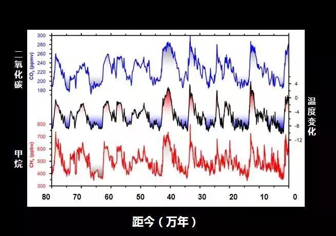 地球档案纪录片图片