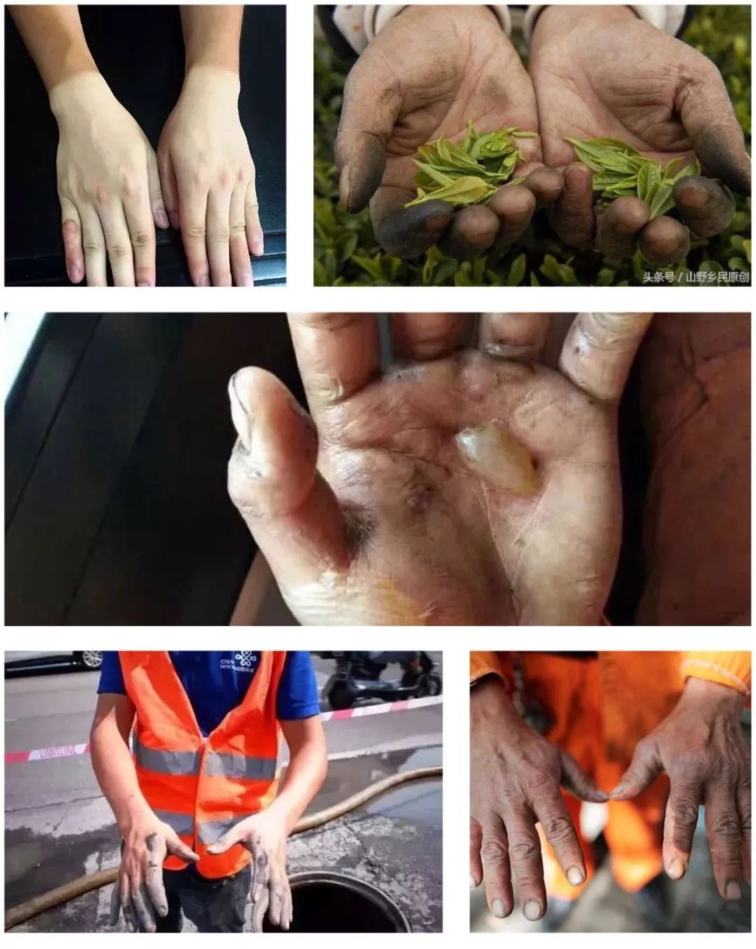 致敬劳动节里的劳动者