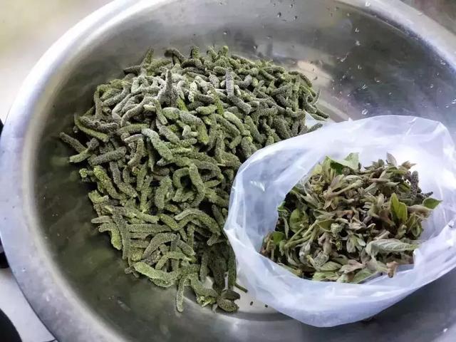 永城的土条子你吃过没有