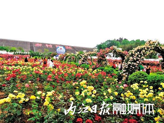 古宇湖香溢谷图片