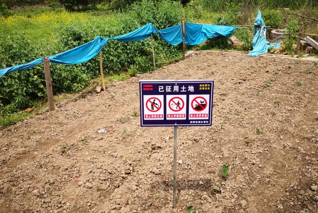 7000亩29个地块已征用土地禁止种菜