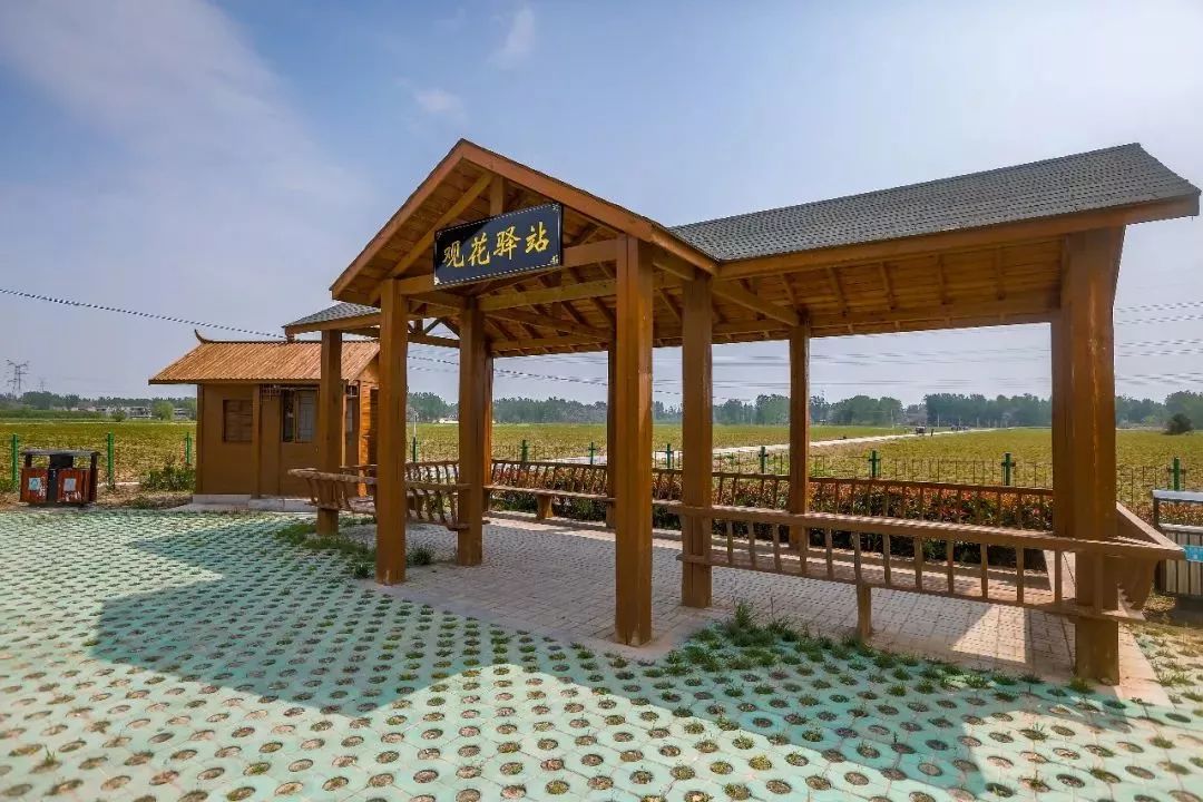 五一去哪玩记得来十河大周打卡噢