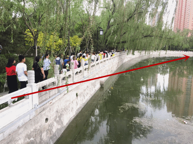 迎泽公园彻底炸了!五一第一天,我被挤成了筛子.