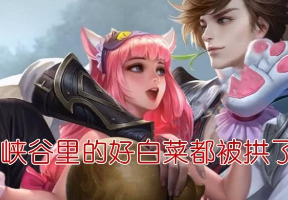 王者荣耀:李白真是"大猪蹄子",韩信醋了:是我跳不动你了?_甄姬