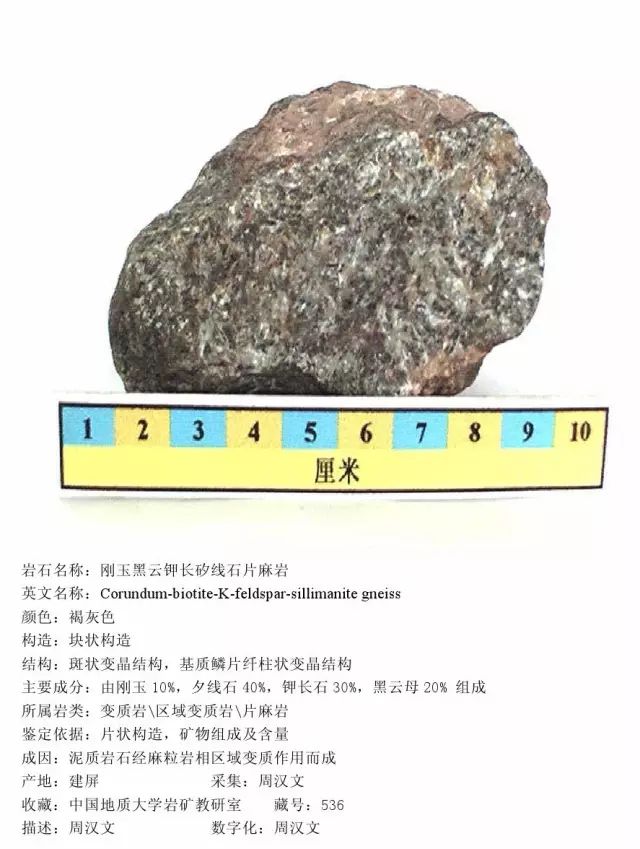 三大岩类薄片,手标本对照,轻松认识213种岩石!