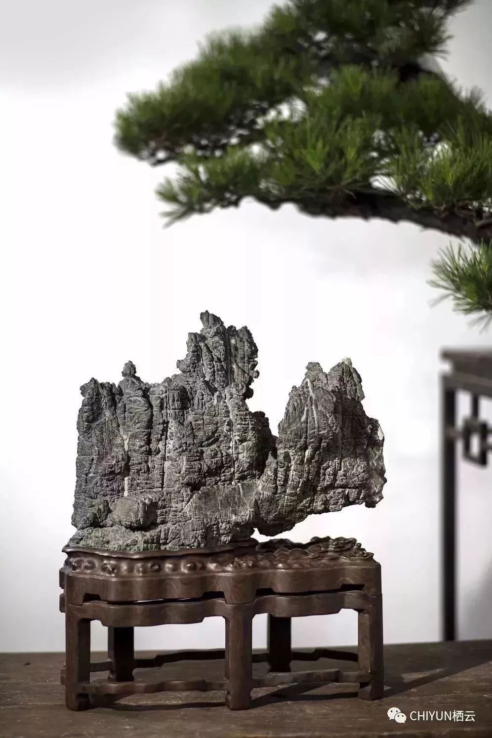 多图英德的英石作品惊艳亮相数十位藏家的精品英石参展