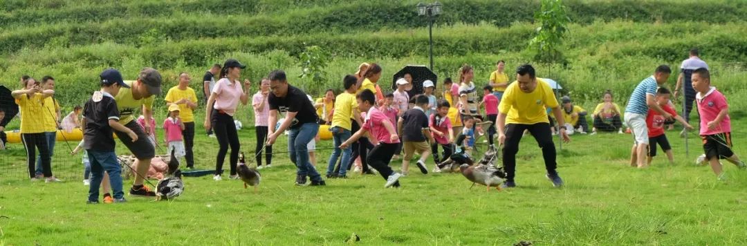 【5月3日】五一嘉年華田園歡樂親子游,挖寶藏-喂小