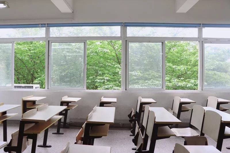 相约明年 樱花绽放时