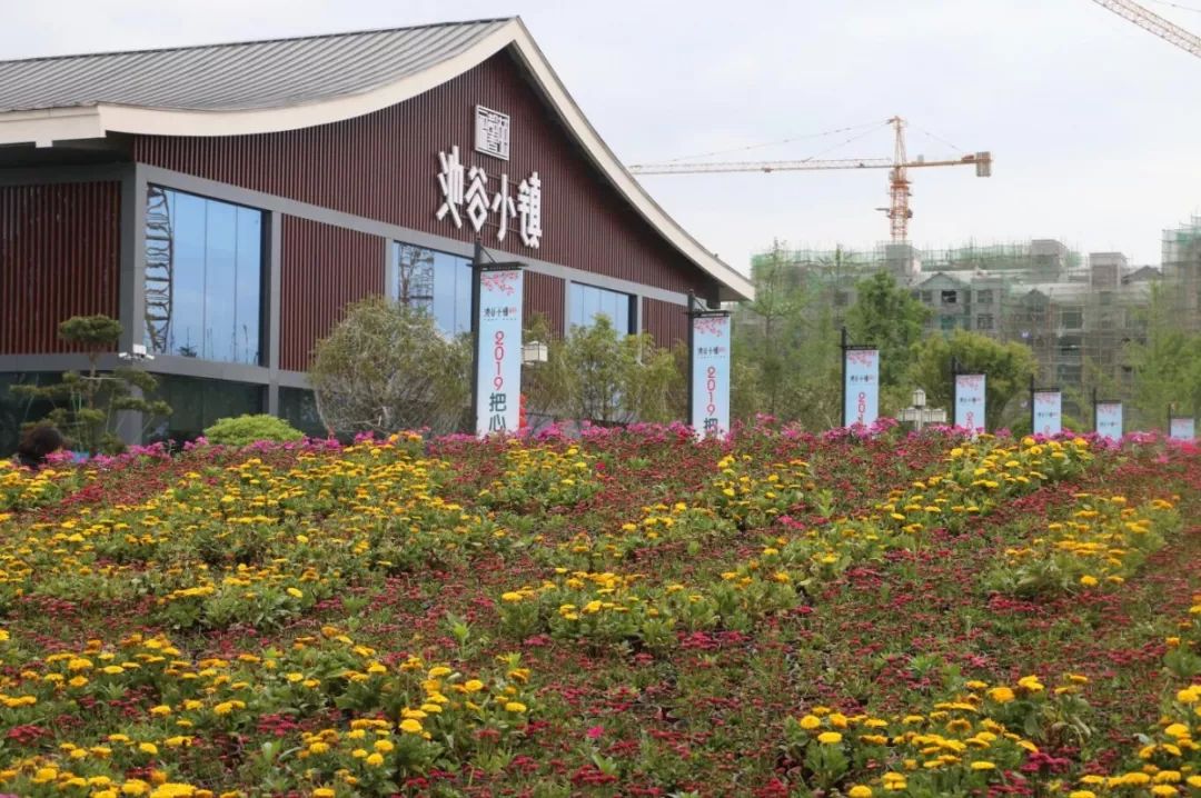 五一小长假,利川凉雾"池谷小镇"热闹非凡,场面火爆……_业主