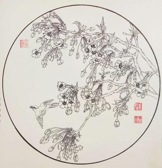 钢笔花卉白描达人叶志军先生的钢笔画分享