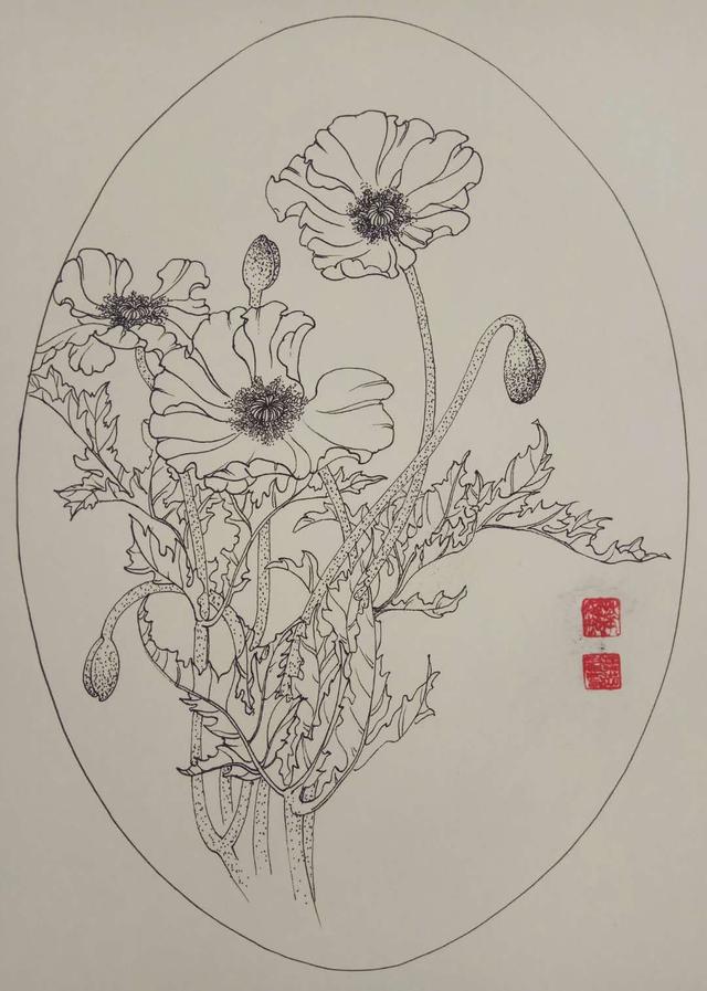 钢笔花卉白描达人叶志军先生的钢笔画分享