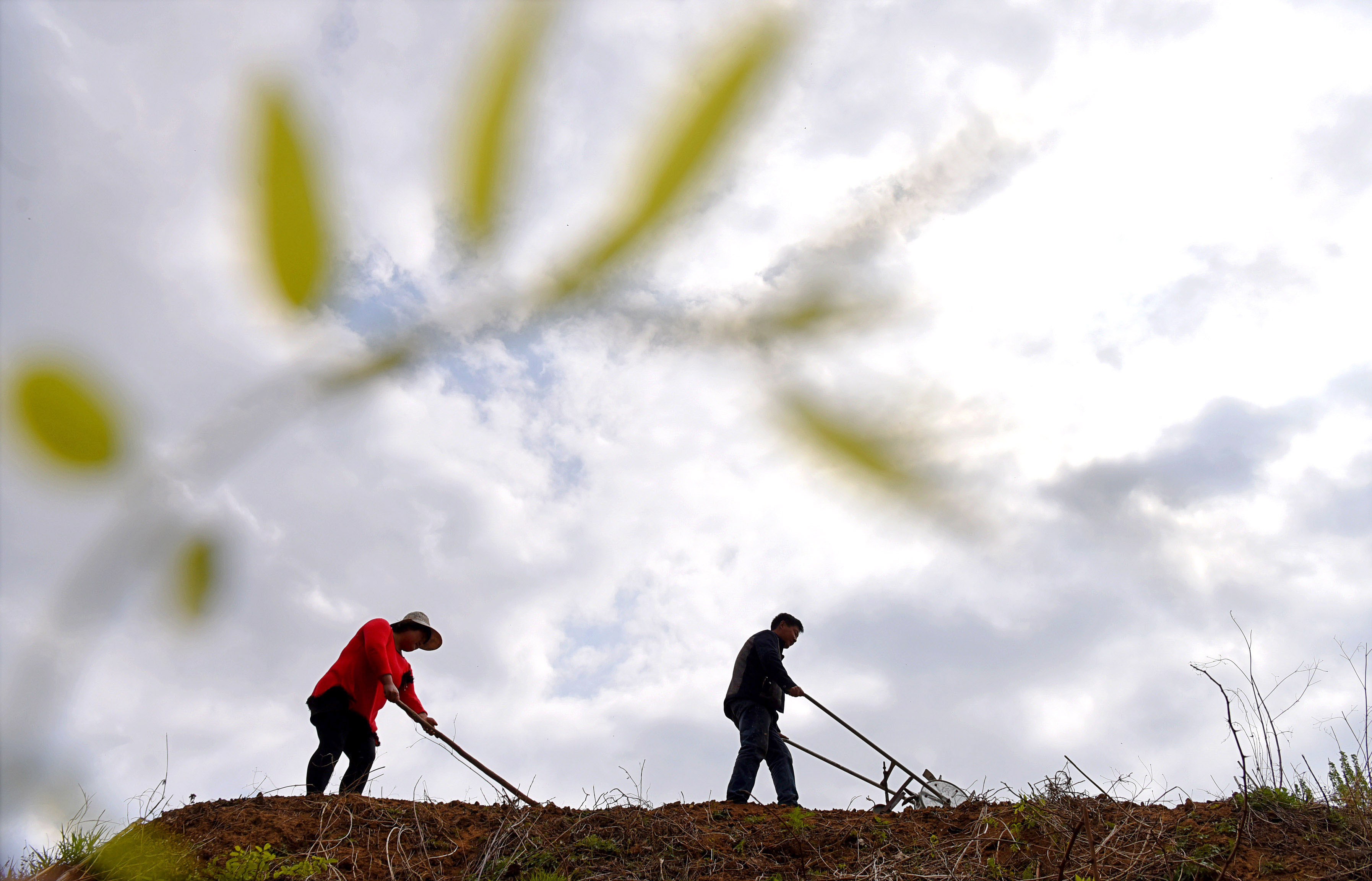 农家女郑作霞:带着瘫痪前夫改嫁