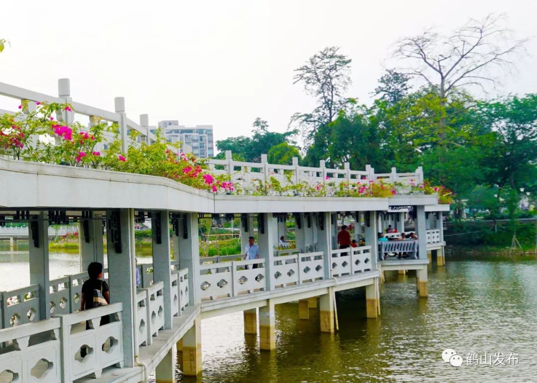 鹤山北湖公园图片