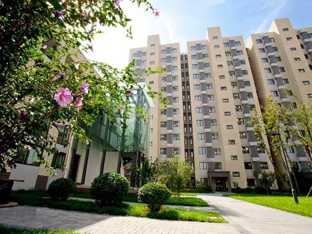 参赛作品围绕天津万科物业服务项目的社区环境作为拍摄对象,景物和