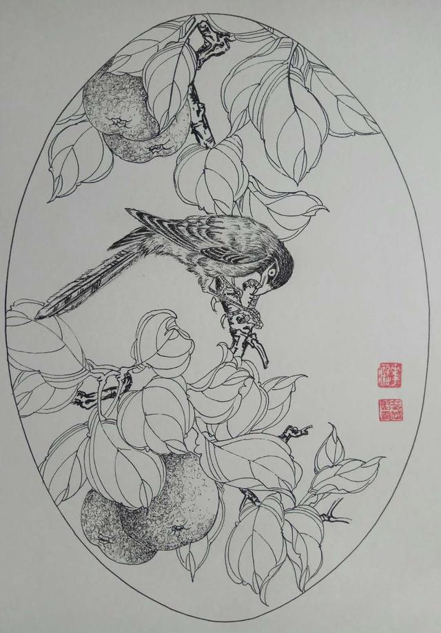 钢笔花卉白描达人叶志军先生的钢笔画分享