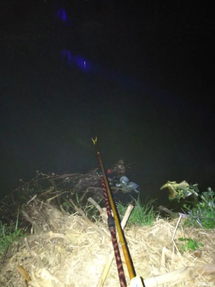 【钓鱼技巧】夜钓鲫鱼的4要点!
