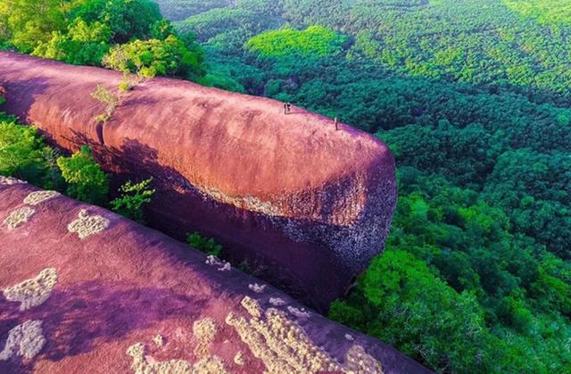 遨游在森林中的三鲸岩果然是奇观