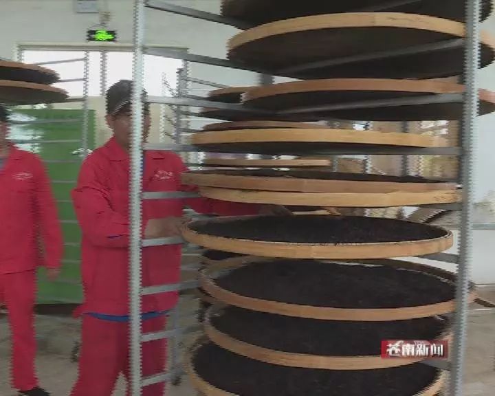 苍南老土茶荣获国家绿色食品a级认证