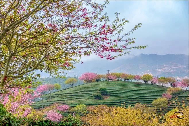 漫漫紅塵路,誰都有遭遇悽風苦雨的時候,誰都會有一段兒泥濘難行的路要