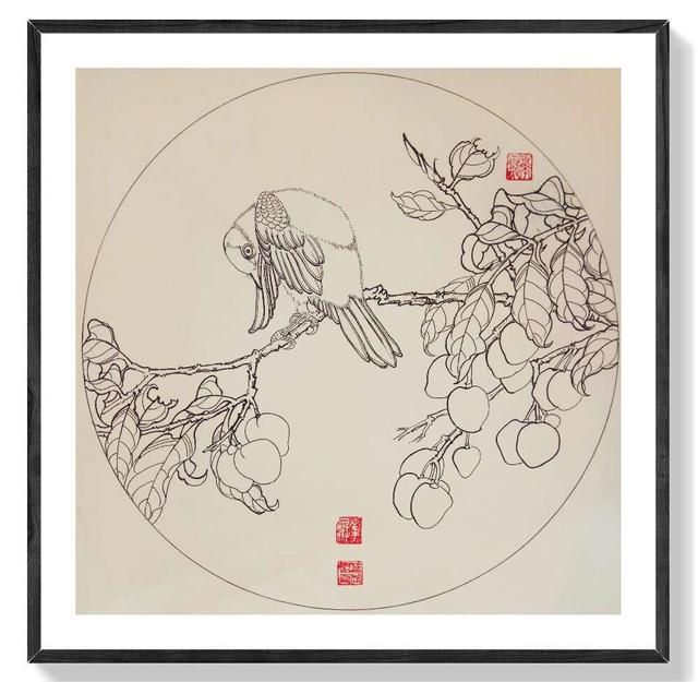 钢笔花卉白描达人叶志军先生的钢笔画分享