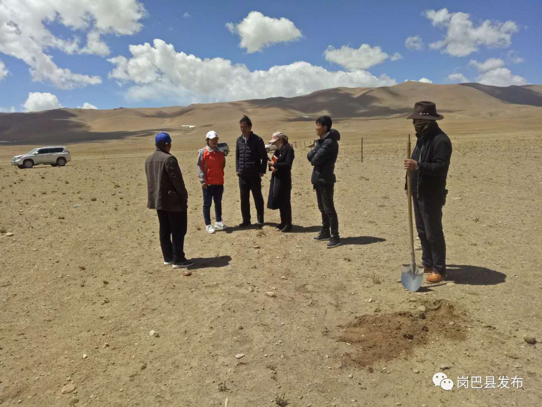 市草原站站长,在主管副县长罗杰同志,县农村农业局项目负责人和龙中乡