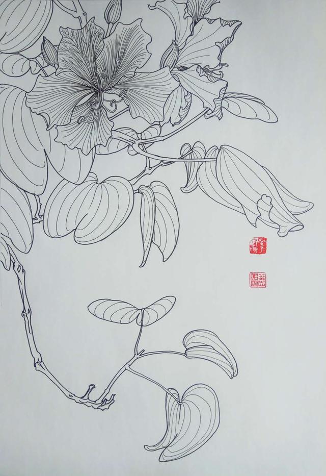 钢笔花卉白描达人叶志军先生的钢笔画分享_自学