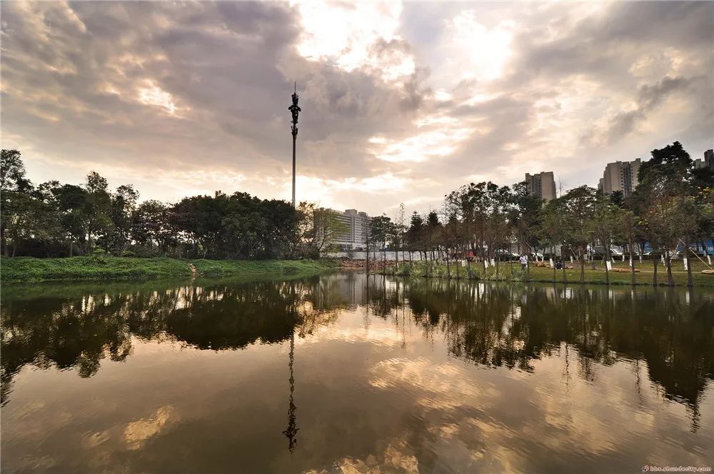 顺德这个公园,连空气都弥漫着绿意!_容桂