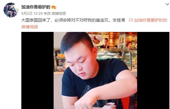 二驴保镖泰拳学成归来!-搜狐大视野-搜狐新闻