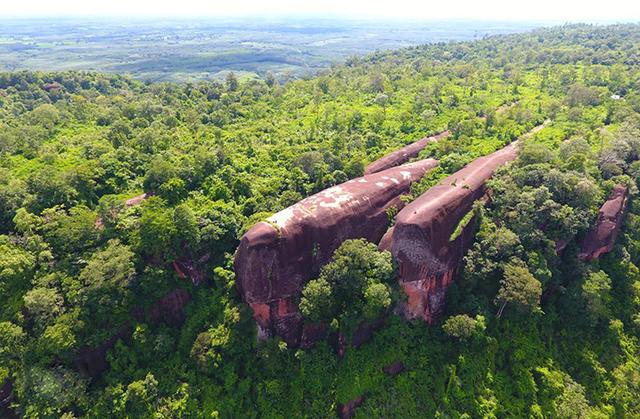 遨游在森林中的三鲸岩果然是奇观