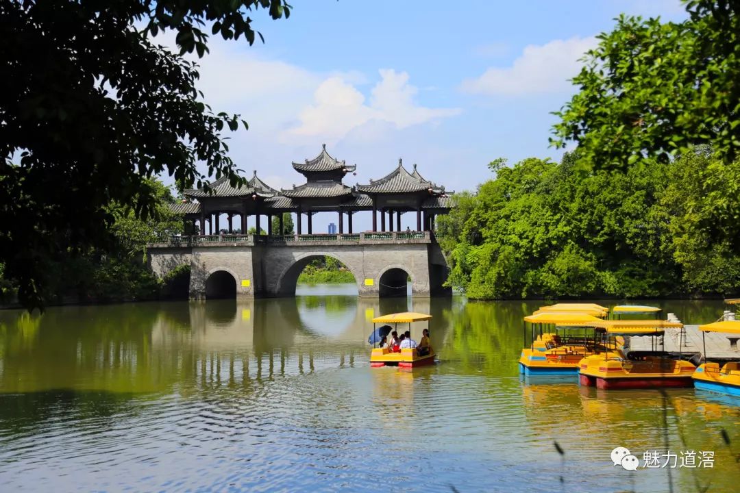 抓住假期的尾巴去道滘这些地方逛一逛吧