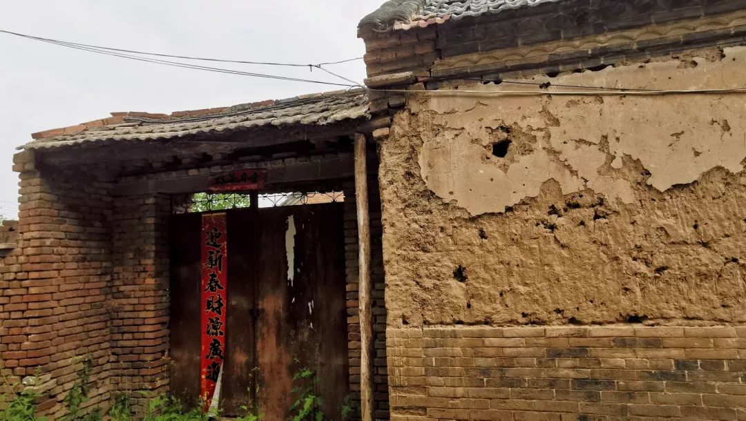 五一假期你回丰县老家劳动吗?有图有真相……_农村